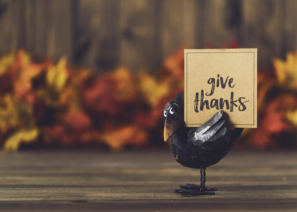Crow with greeting in front of leaves and wood background