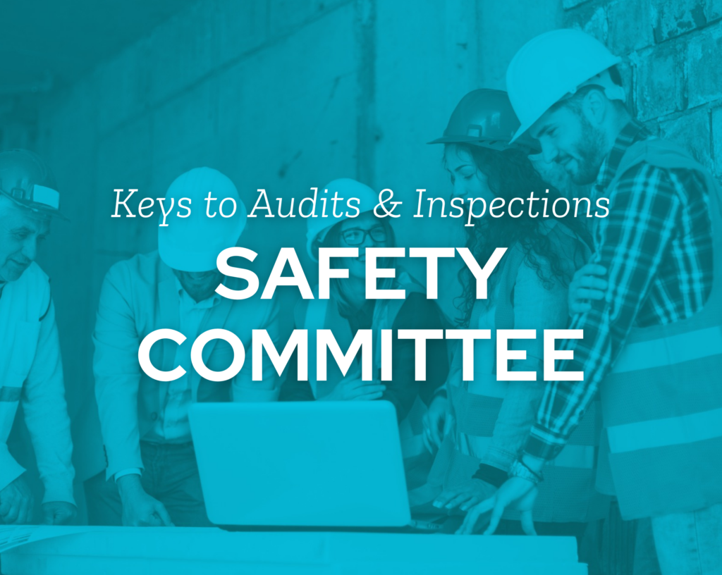 Post - Audits & Inspections Safety Committee