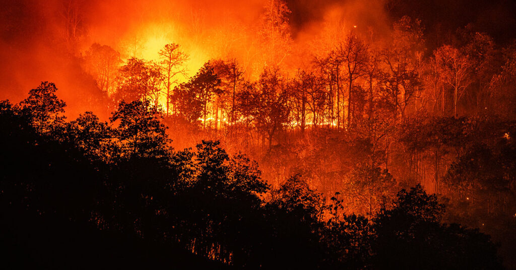 wildfire safety (1)