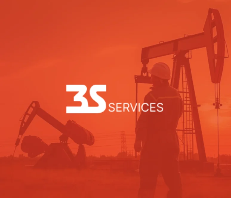 3S Customer Story