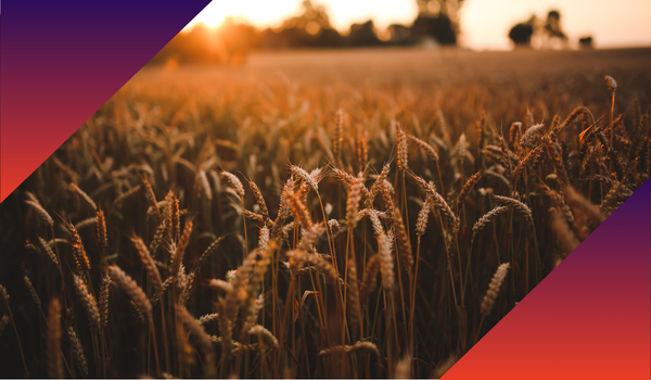 Novara Launches Agriculture Training Package