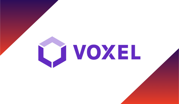 Voxel AI logo