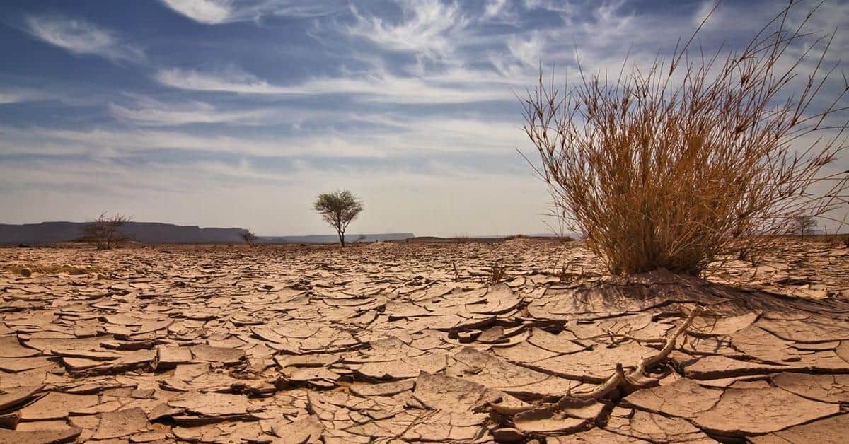 safety manager guide to drought (1)