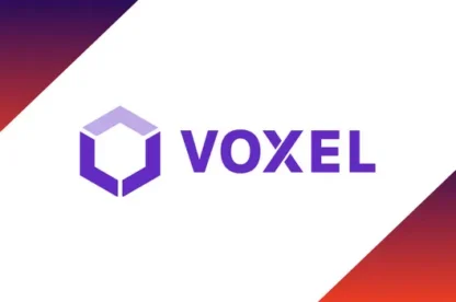 voxel press release